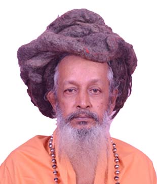 swami-brahmapadananda-saraswathi Swami Brahmapadananda Saraswathi